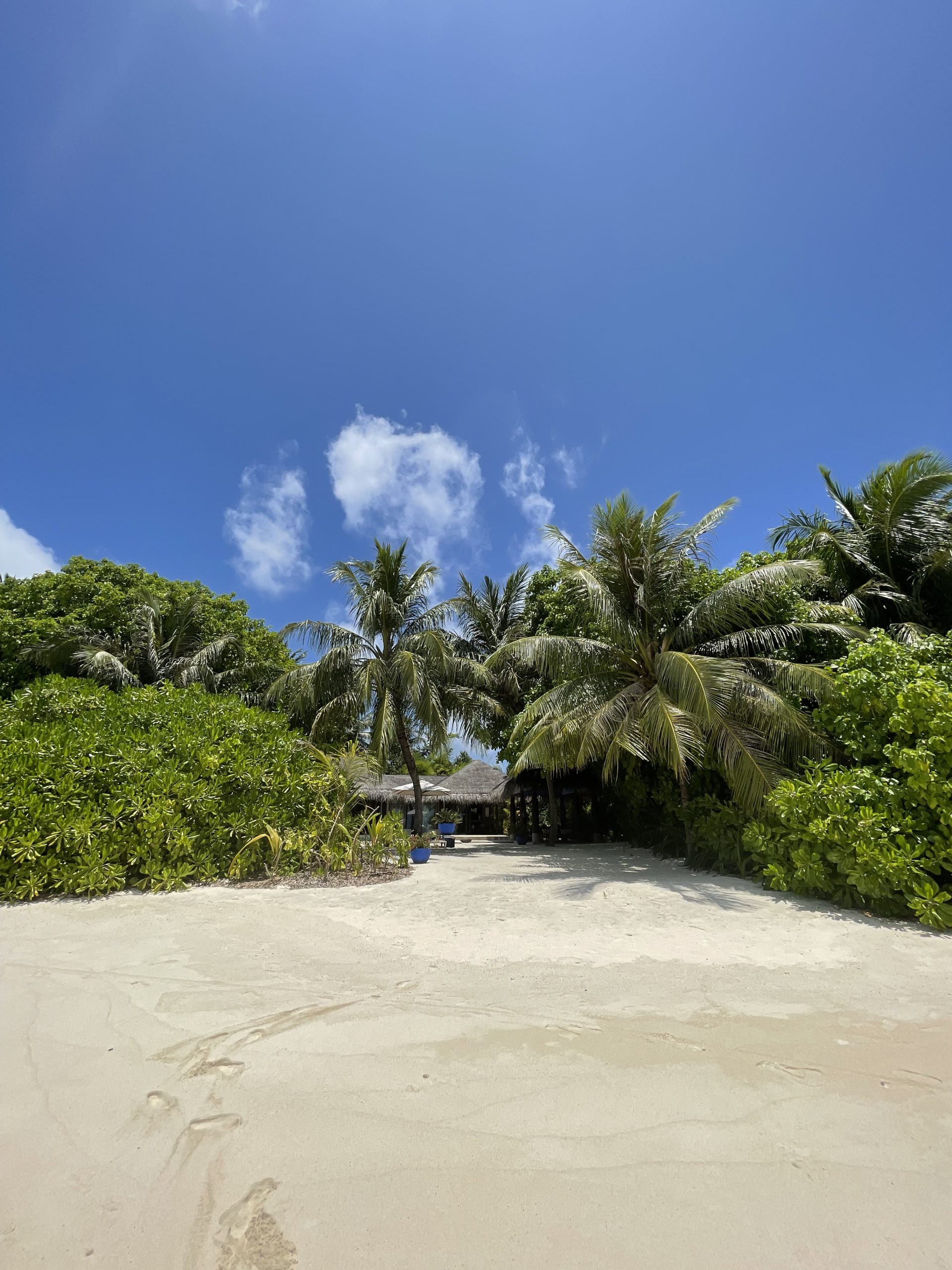 Velaa Private Island – eine Insel zum Verlieben