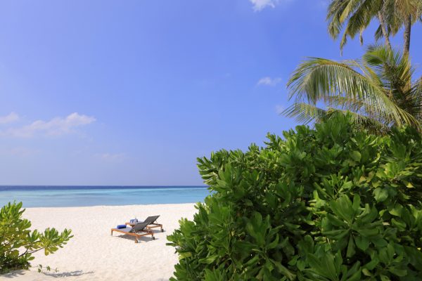 insel-seite-avani-+-baa-atoll-zimmerkategorien-beach-pool-villa-02